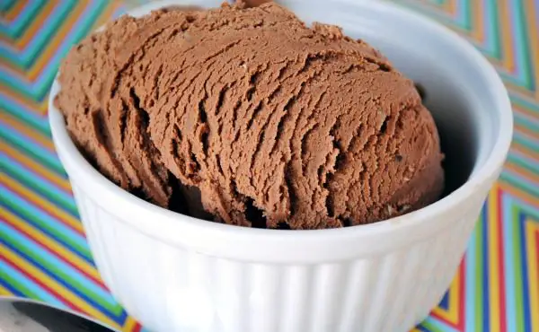 Homemade Chocolate Ice Cream